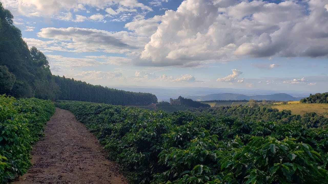 Foto da fazenda