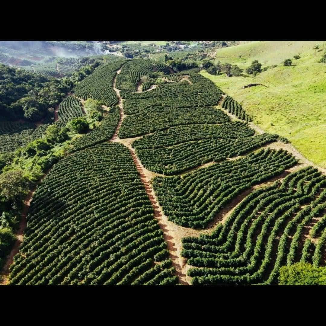 Foto da fazenda