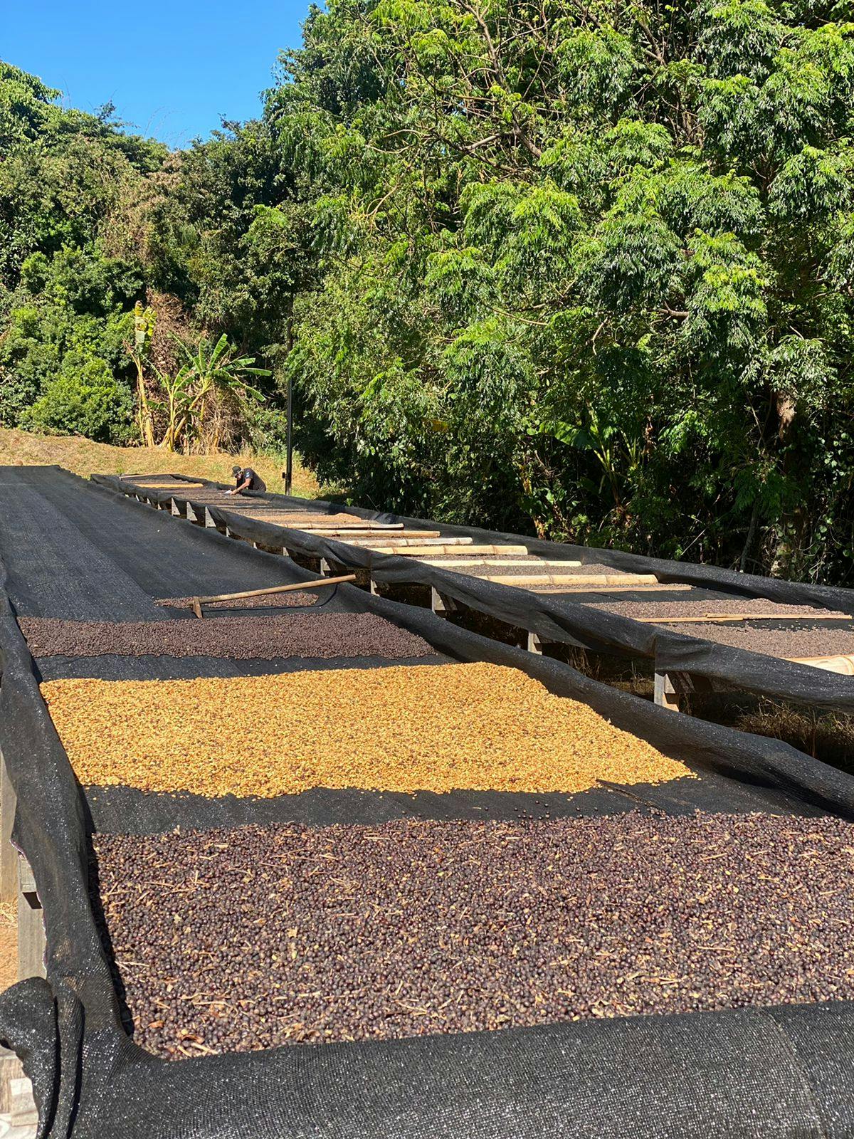 Foto da fazenda