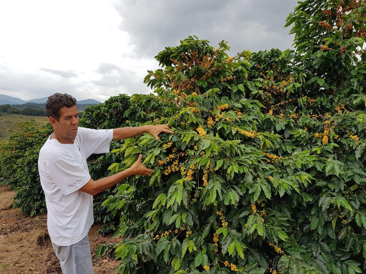 Foto da fazenda