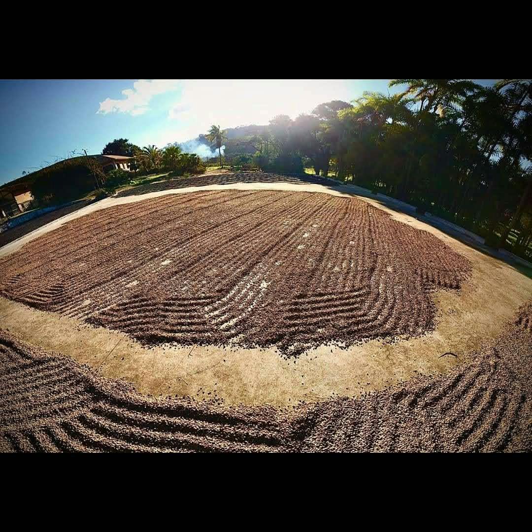 Foto da fazenda