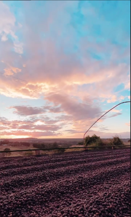 Foto da fazenda