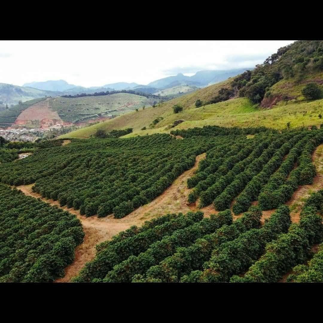 Foto da fazenda