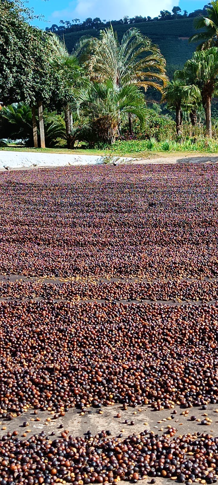 Foto da fazenda