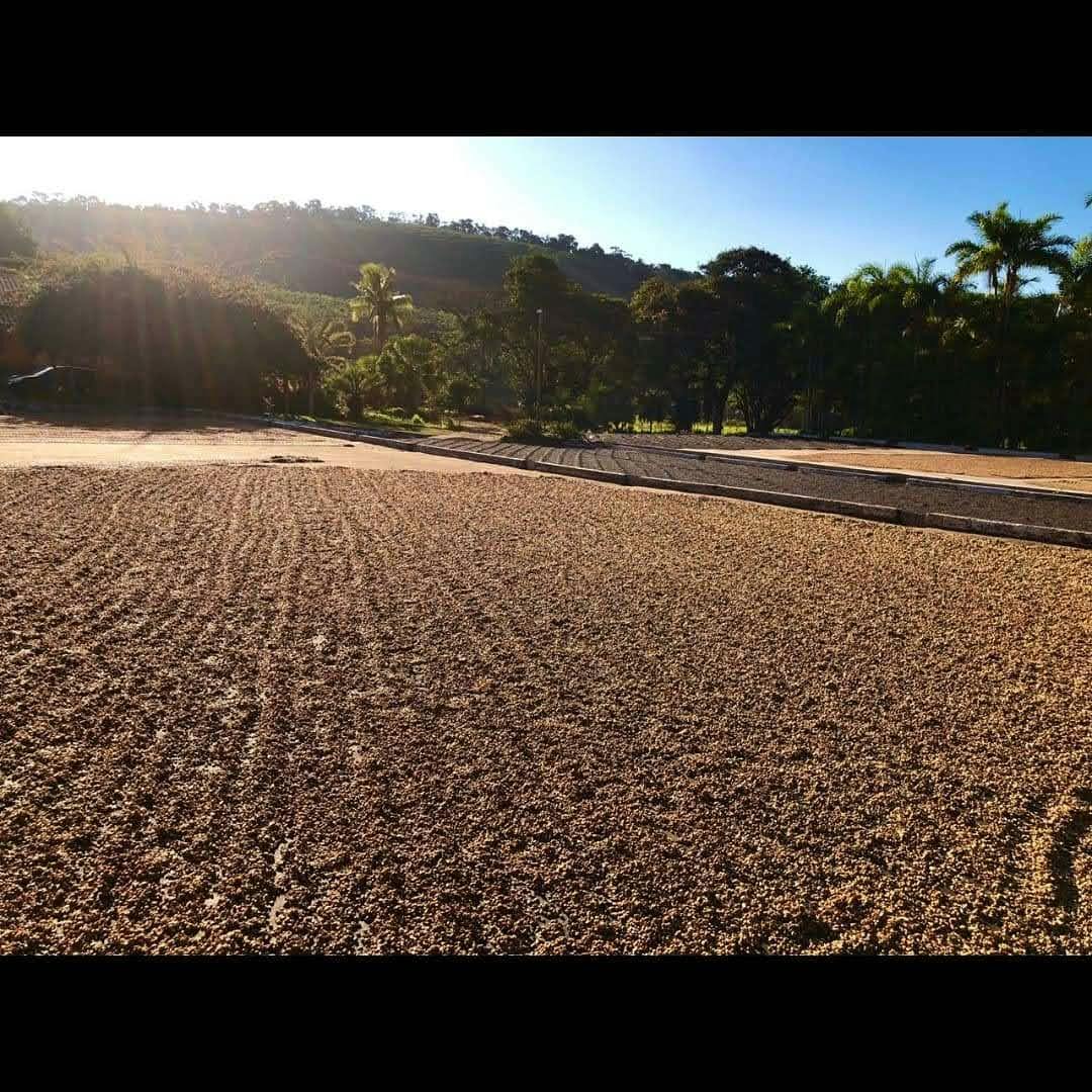 Foto da fazenda