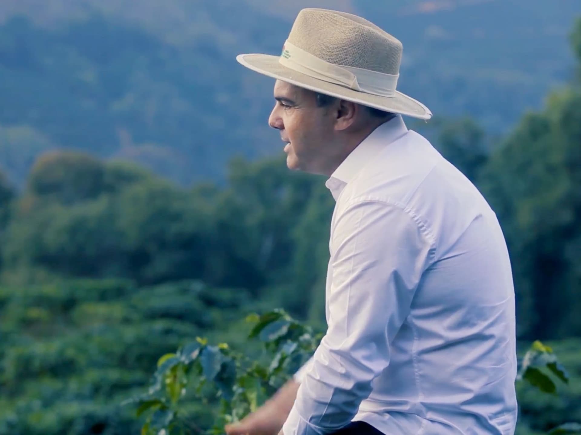 sergio cotrim dalessandro